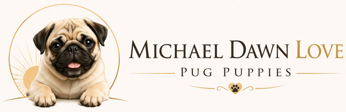 Michael Dawn Love Pug Puppies